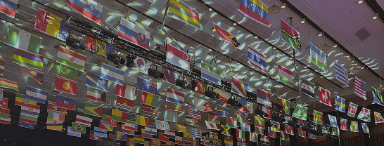 Healthcare & Insurance